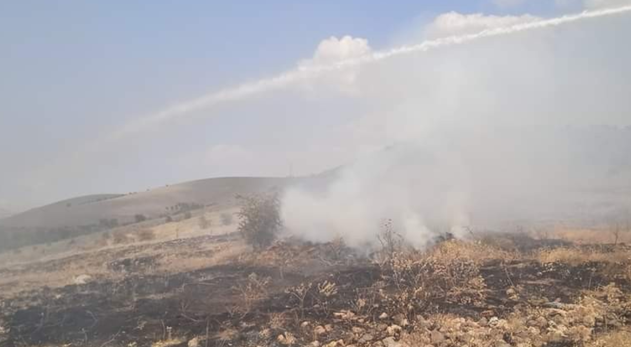 Çiftçileri korkutan yangın! Vişne bahçesine sıçramadan söndürüldü
